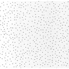 Плита стельова ATLANTICA (600 * 600 * 12 мм.)