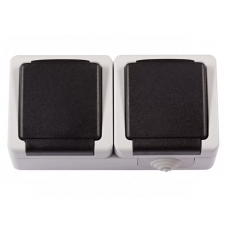 Розетка LUXEL DEBUT з/з кришкою+розетка з/з кришкою 6541